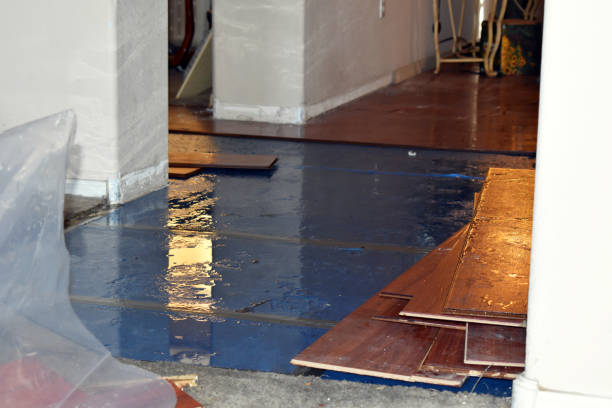 Professional Flood Cleanup technician working in Forest Falls, CA